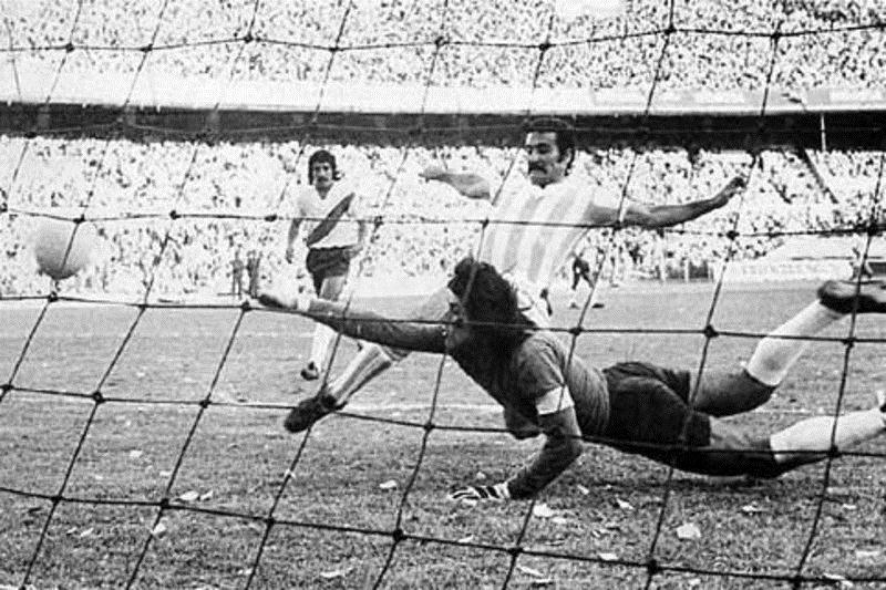 اوبالدو ماتیلدو فیول